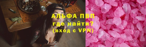 ПСИЛОЦИБИНОВЫЕ ГРИБЫ Верея