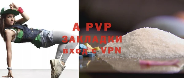 ПСИЛОЦИБИНОВЫЕ ГРИБЫ Верея