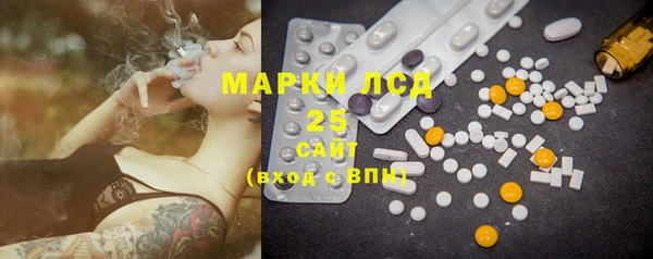 ПСИЛОЦИБИНОВЫЕ ГРИБЫ Верея