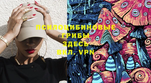 ПСИЛОЦИБИНОВЫЕ ГРИБЫ Верея
