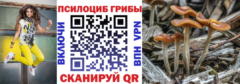 ссылка на мегу зеркало  Карабаново  Галлюциногенные грибы MAGIC MUSHROOMS 